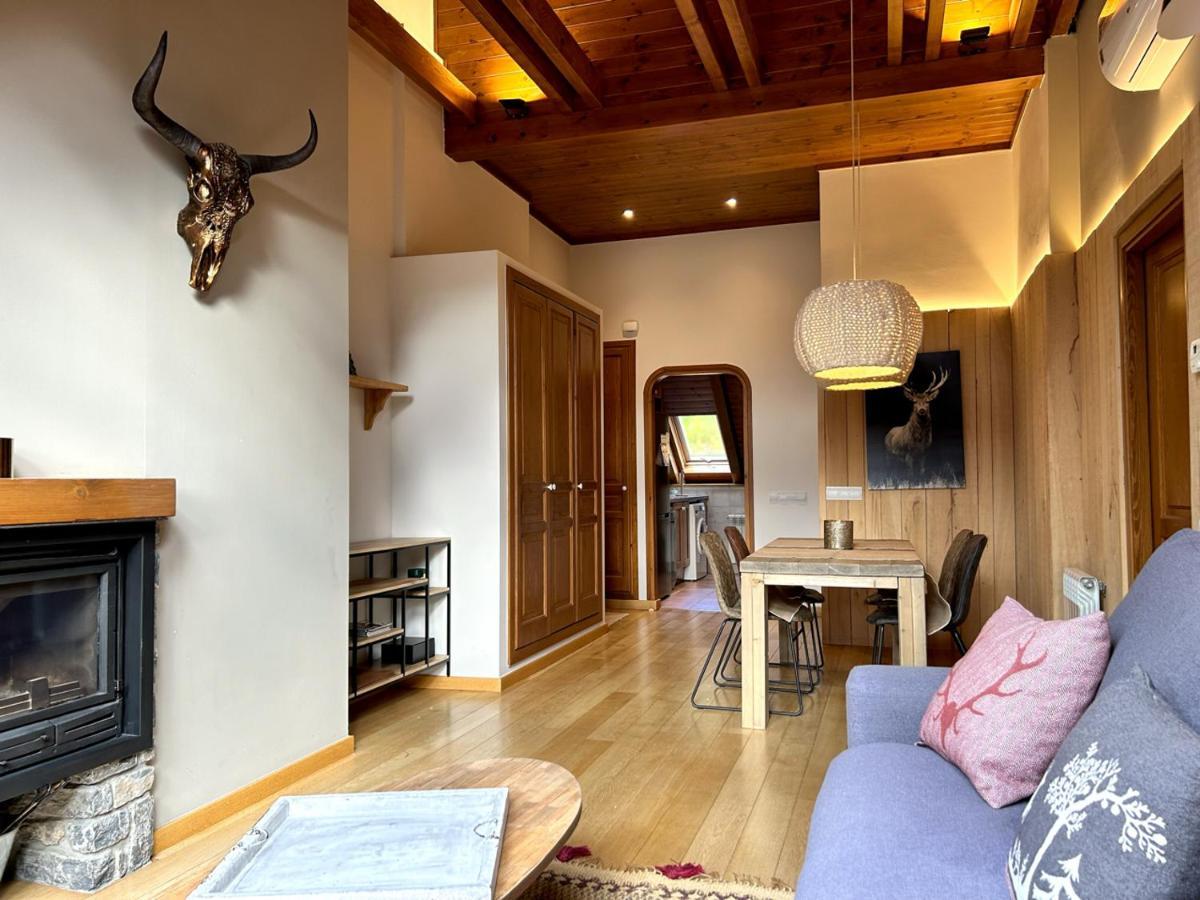 Atic De Luxe I Rustic A Esterri D'Aneu By Rural D'Aneu ภายนอก รูปภาพ